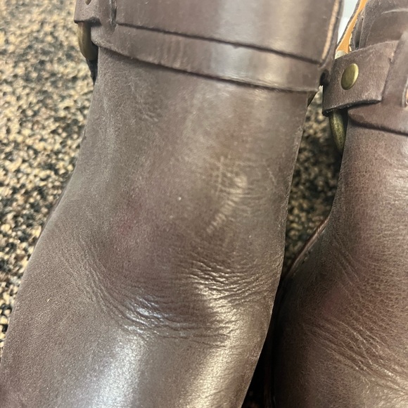 Born mules - Picture 2 of 7